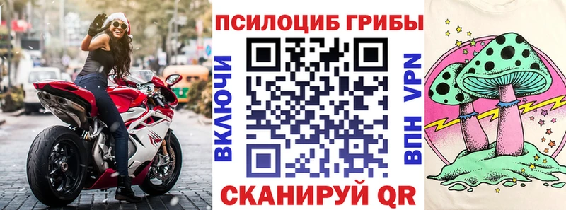 Галлюциногенные грибы прущие грибы  закладки  Чёрмоз 
